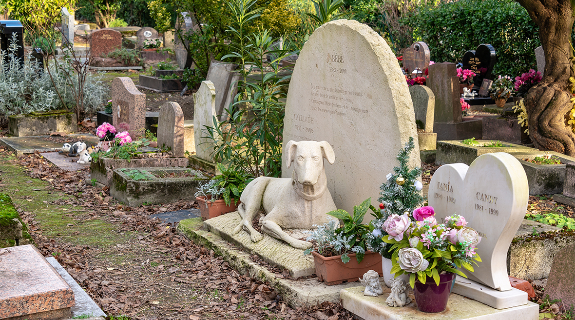 A pale stone grave is adorned  with a big statue of a dog. Surrounding graves are decorated with pink flowers